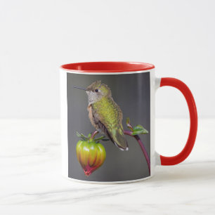 Kolibri ruht auf Blütenknospe Tasse