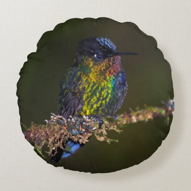 Kolibri Rundes Kissen (Vorderseite)