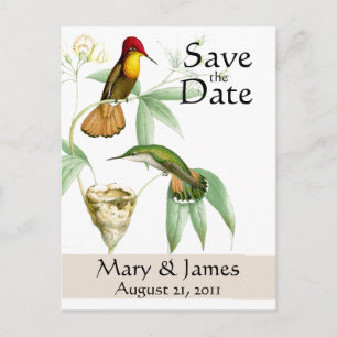 Kolibri-Save the Date Postkarte
