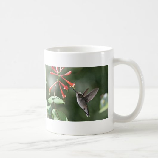 Kolibri-Schätze Kaffeetasse (Rechts)