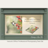 Kolibri-Schutzgebiet Professionelle Fotografie