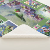 Kolibri Sherpadecke (3/4)