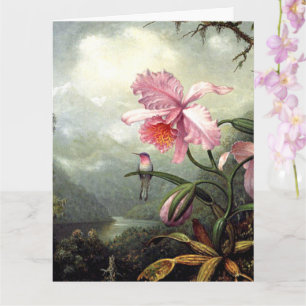 Kolibri sitzend, feine Kunst, Karte