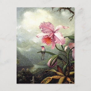 Kolibri sitzend, feine Kunst, Postkarte