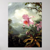 Kolibri sitzend, fine art, poster (Vorne)