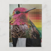 Kolibri Surrealer Collage Postkarte (Vorderseite)