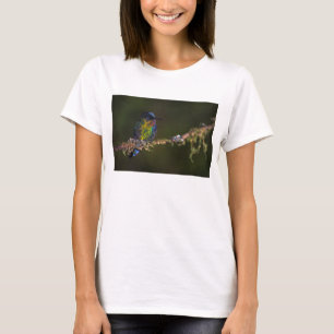 Kolibri T-Shirt