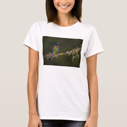 Kolibri T-Shirt (Vorderseite)