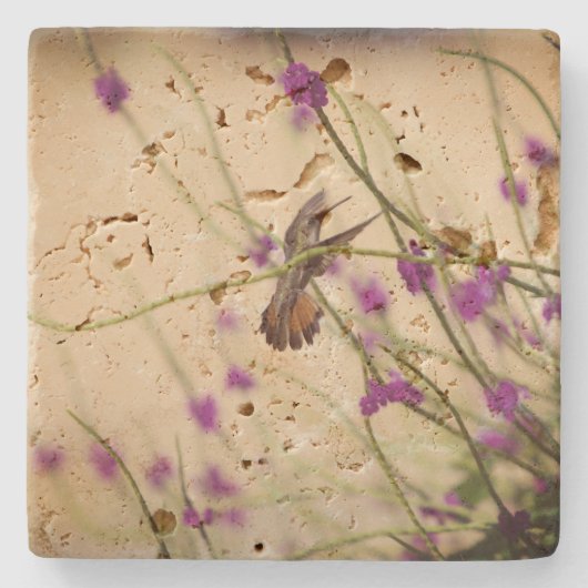 Kolibri-Travertin-Untersetzer Steinuntersetzer (Vorderseite)