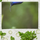 KOLIBRI-TÜCHER HANDTUCH (Gefaltet)