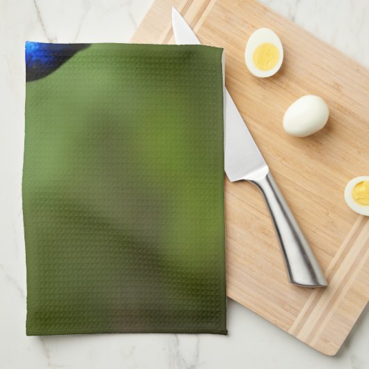 KOLIBRI-TÜCHER HANDTUCH (Viertel Falte)