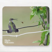 Kolibri-u. Honig-Biene Mousepad (Vorne)