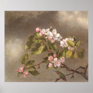 Kolibri und Apfelblüten 1875 Poster