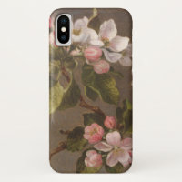 Kolibri und Apple-Blüten