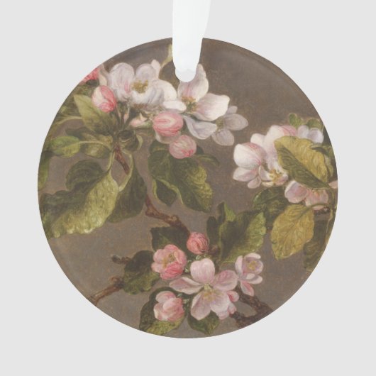 Kolibri und Apple-Blüten Ornament (Vorderseite)