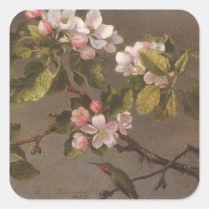 Kolibri und Apple-Blüten Quadratischer Aufkleber