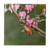 Kolibri-und Blumen-Bild Fliese (Vorderseite)