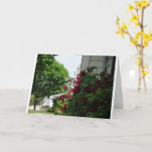 Kolibri und Clematis, Freund Karte (Gelbe Blume)