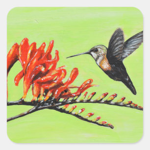 Kolibri- und Crocosmia-Gemälde Quadratischer Aufkleber