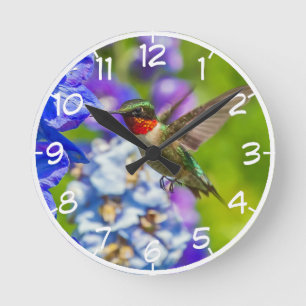 Kolibri und Delphinium Runde Wanduhr