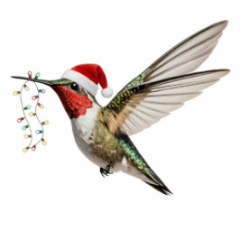 Kolibri- und Feenlicht-Vogelschmuck für Weihnachte Fotoskulptur Ornament