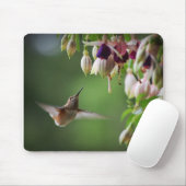 Kolibri-und Fushia Blumen-Pflanze Mousepad (Mit Mouse)