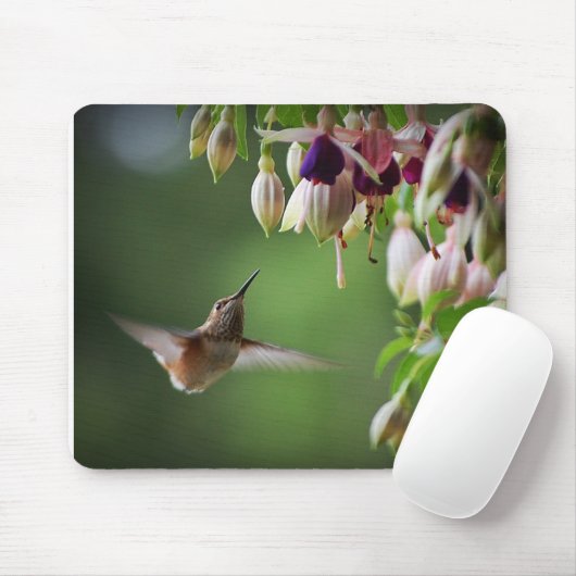 Kolibri-und Fushia Blumen-Pflanze Mousepad (Mit Mouse)