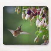 Kolibri-und Fushia Blumen-Pflanze Mousepad (Vorne)