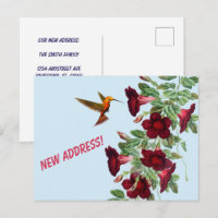 Kolibri und rote Blumen Neue Adresse