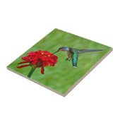 Kolibri und rote Zinnia-Keramik-Fliesen Fliese (Seite)
