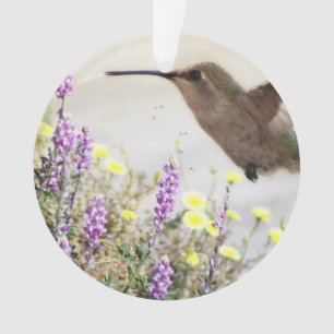 Kolibri und Wildblumen Digitale Kunst Ornament