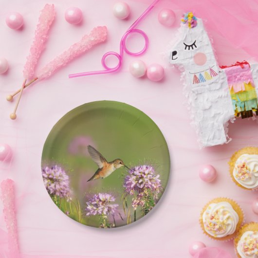 Kolibri und Wildblumen Pappteller (Party)