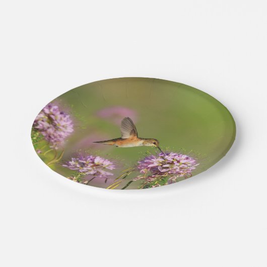 Kolibri und Wildblumen Pappteller (Schrägansicht)