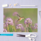 Kolibri und Wildblumen Seidenpapier (Handwerk)