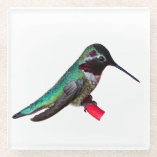 Kolibri-Untersetzer - Entwurf D Glasuntersetzer