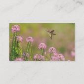 Kolibri Visitenkarte (Rückseite)