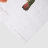 Kolibri-Vögel Audubon Blumen-Seidenpapier Seidenpapier (Detail)