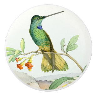 Kolibri-Vogel-Blumen-Blumengarten-Griff Keramikknauf