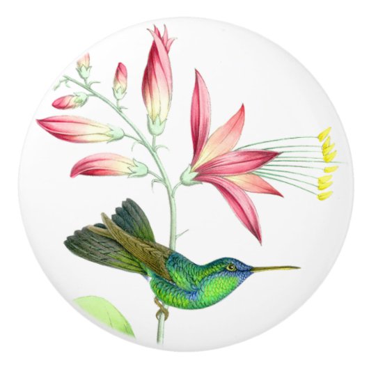 Kolibri-Vogel-Blumen-Blumengarten-Griff Keramikknauf (Vorderseite)