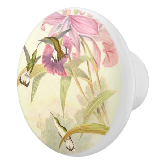 Kolibri-Vogel-Blumen-Blumengarten-Griff Keramikknauf (Rechts)