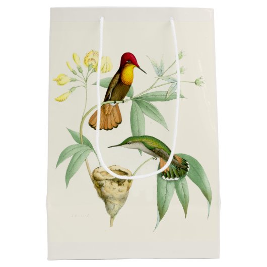 Kolibri-Vogel-Blumen-Blumennest-Geschenk-Tasche Mittlere Geschenktüte (Rückseite)