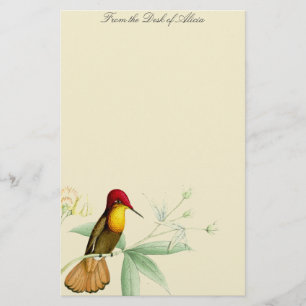 Kolibri-Vogel-Blumen-Blumentier-Tiere Briefpapier