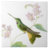 Kolibri-Vogel-Blumen-Blumentier-Tiere Fliese (Vorderseite)