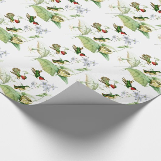 Kolibri-Vogel-Blumen-Blumenverpackungs-Papier Geschenkpapier (Ecke)