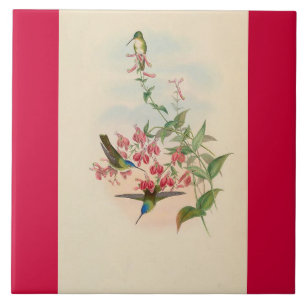 Kolibri Vögel Blumen Floral Tiere Wildnis Fliese