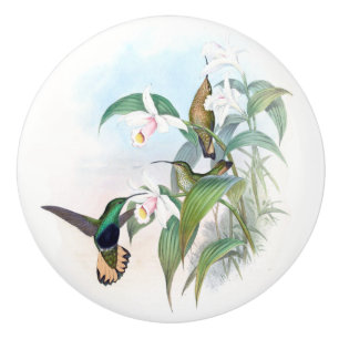Kolibri-Vogel-Blumen-Tier-Tier-Griff Keramikknauf