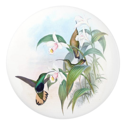 Kolibri-Vogel-Blumen-Tier-Tier-Griff Keramikknauf (Vorderseite)