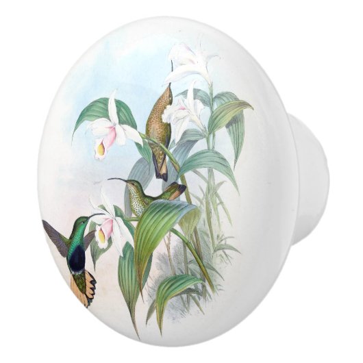 Kolibri-Vogel-Blumen-Tier-Tier-Griff Keramikknauf (Rechts)