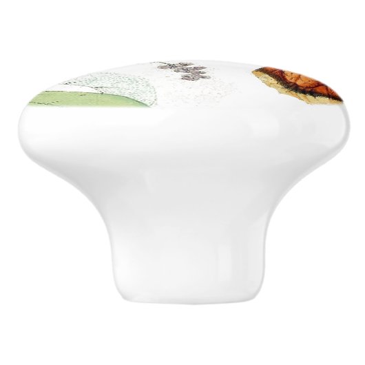 Kolibri-Vogel-Blumen-Tier-Tierzug/Griff Keramikknauf (Seitenansicht)