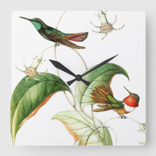 Kolibri Vögel Floral Blumen Wanduhr